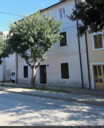 Pet Friendly Apartment Murvi 50 Novigrad Istria Dış mekan fotoğraf